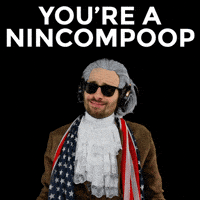Idiot Insulting GIF