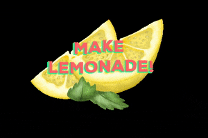 botanicink drink fruit fresh lemonade GIF