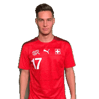 Switzerland Suisse Sticker by Swiss Football Association