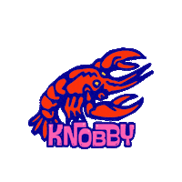 Down Under Ocean Sticker by Knobby