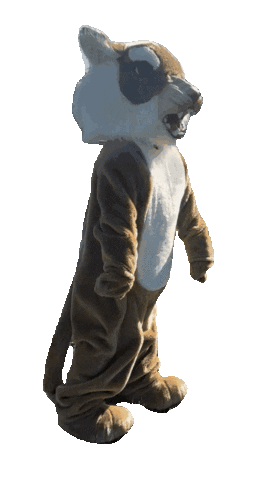 nfaschoolalumni nfa nfaschoolalumni nfaalumni nfafoundation Sticker