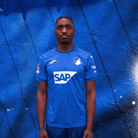 Sport Bundesliga GIF by TSG Hoffenheim