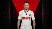 Sv Sandhausen Celebration GIF by Bundesliga