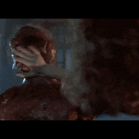 the fly 80s movies GIF by absurdnoise