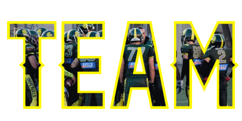 Football Nfl Sticker by IMPERIALSREUS