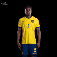 Fifa World Cup Ecuador GIF by Respective