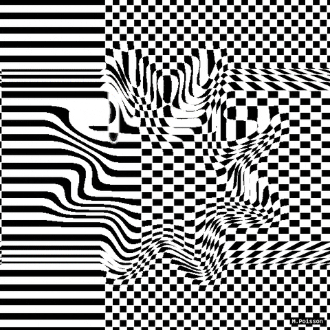 b&w art GIF by Michel Poisson