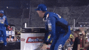 nascar win winning nascar bristol GIF