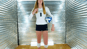 Toledo Volleyball GIF by Toledo Rockets