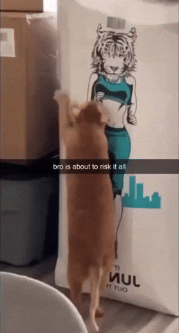 g0ldie giphyupload GIF