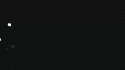 Molly Floyd GIF