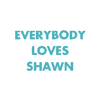 Shawn Mendes Sticker