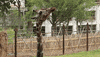 Atlanta Atl GIF by ZooATL