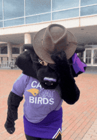 Panthers GIF by UNI Athletics