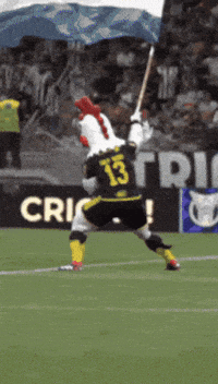 Galo GIF