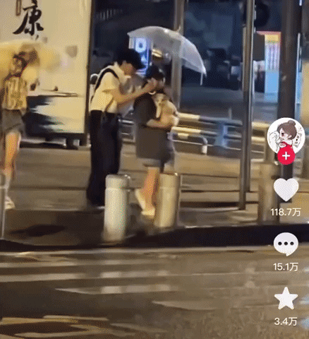cuteanimalland giphyupload GIF