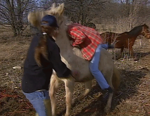 ted nugent horse GIF by Team Coco
