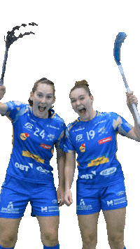 Floorball Sticker by Kloten-Dietlikon Jets