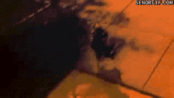 dog peeing GIF by Cheezburger