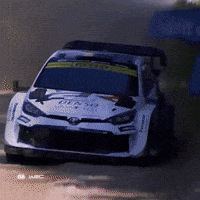 Bye Bye GIF by FIA World Rally Championship