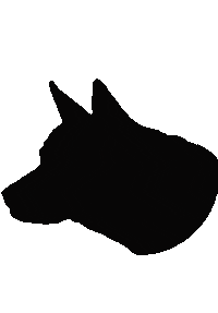 Gym Dogs Sticker by DieselFitness