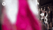 pbs adventure GIF by EARTH A New Wild