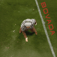 Football Field Heads GIF by Bovada
