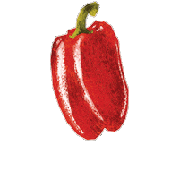 Pepper Sticker by Evoolution