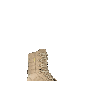Delta Bota Sticker by palmilhado