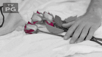 Valentines Day Nbc GIF by 1st Look