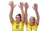 Volleyball Sticker by Draisma Dynamo