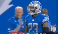Detroit Lions Football GIF by NFL