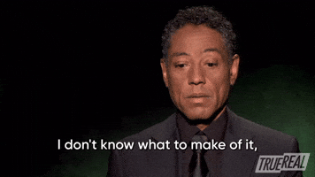 I Don't Know What To Make Of It