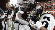 Celebrate College Football GIF by Cincinnati Bearcats