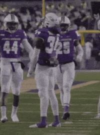 Football Celebrate GIF by JMUDukes