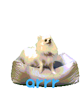 아르르 Sticker by arrr_official