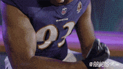 Football Celebrate GIF by Baltimore Ravens