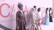 cfda red carpet cfda awards 2019 GIF