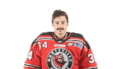 Wave Hello Sticker by Huntsville Havoc