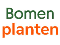 Christmas Boom Sticker by EO