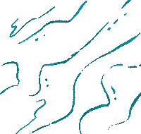 Water Fish Sticker