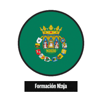 Flag Spain Sticker by Formación Ninja