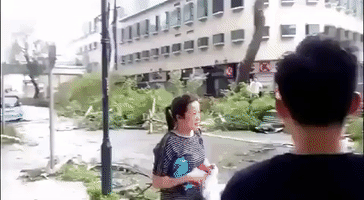 Tree Falls as Typhoon Hato Batters Macau
