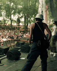 Lollapalooza Chicago GIF by Respective