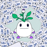 Social Media Love GIF by Magic Eden