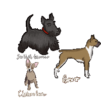 Danaya8 dog glass reflection Sticker