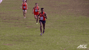 accsports  GIF