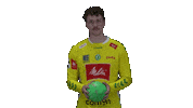 Handball Gwdminden Sticker by GWD Minden Handball-Bundesliga GmbH & Co.KG