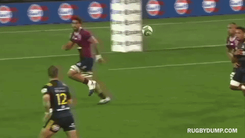 GIF by Rugbydump
