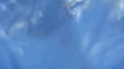 season 15 hannah GIF by The Bachelorette